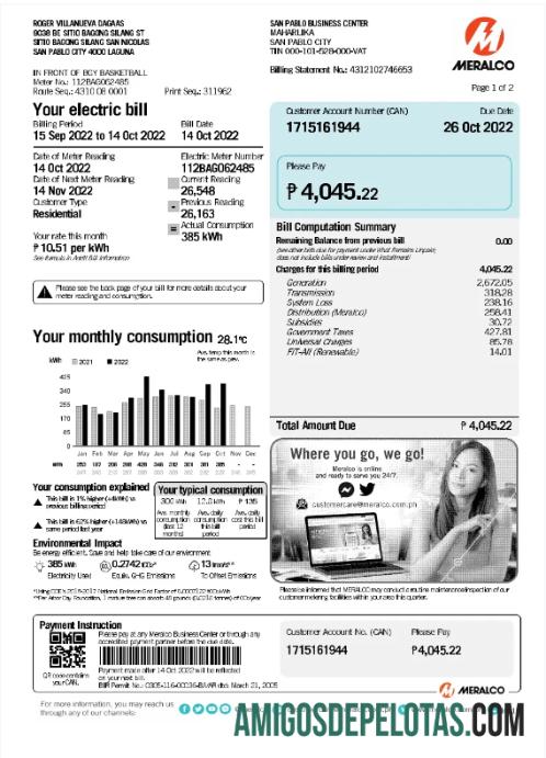 Em branco FILIPINAS MERALCO Conta de serviços públicos modelo Word e PDF